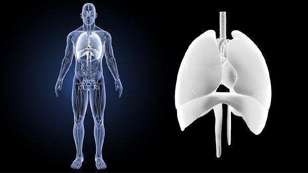 冬天是白叟的危险期 应警觉这3种高发疾病